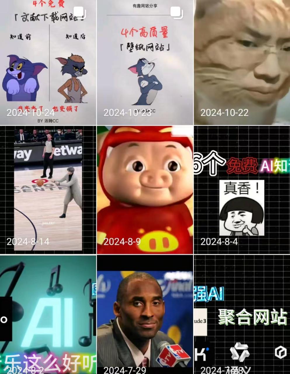 春节期间制作DeepSeek系列视频:从0到1的AI自媒体成长经验分享​