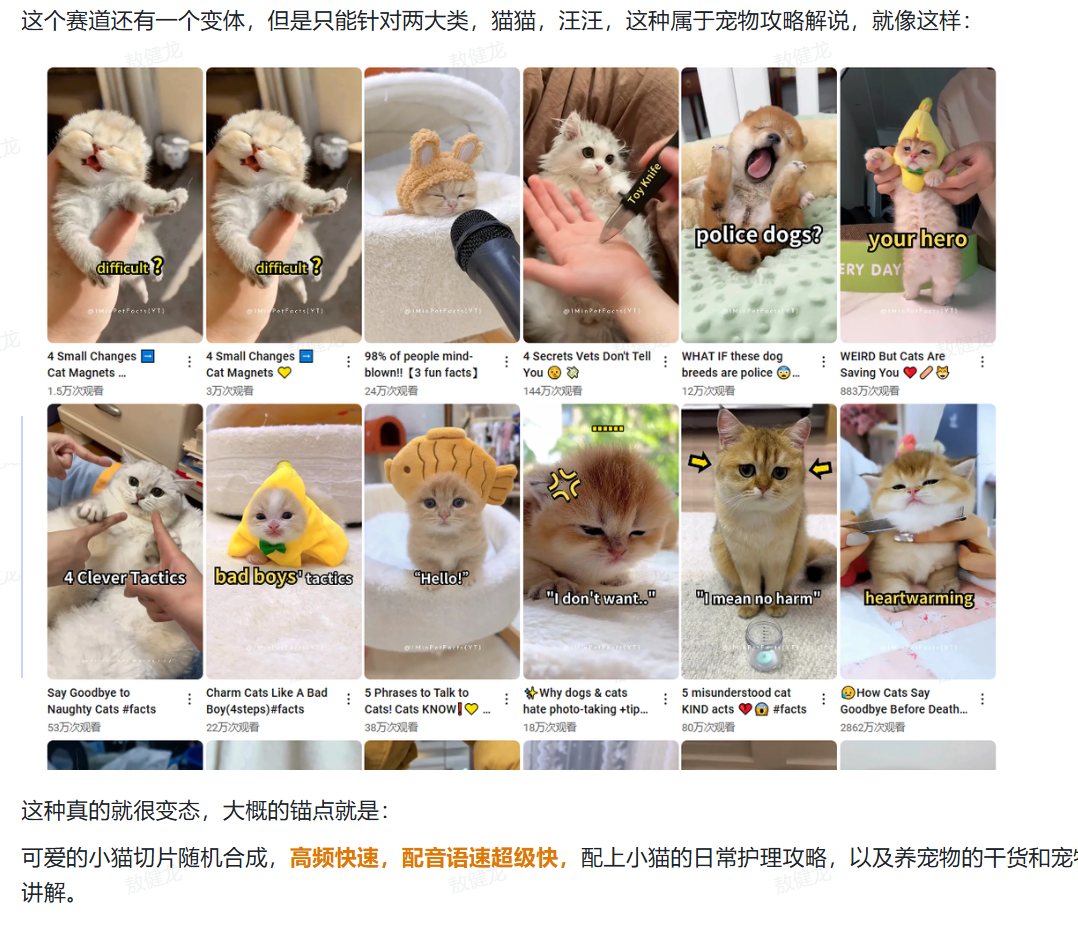 宠物攻略解说视频复刻：Youtube shorts 制作实操​