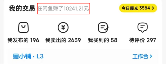 《闲鱼虚拟资料实操经验分享：选品策略、收益最大化与避坑指南》​