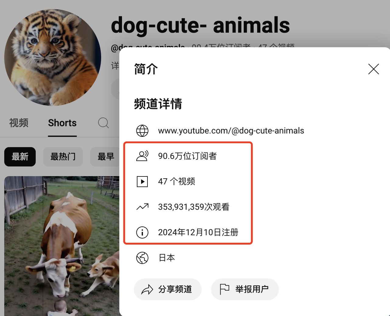 YouTube Shorts AI赛道“动物救援”爆款变种——“天使狗狗”制作攻略​