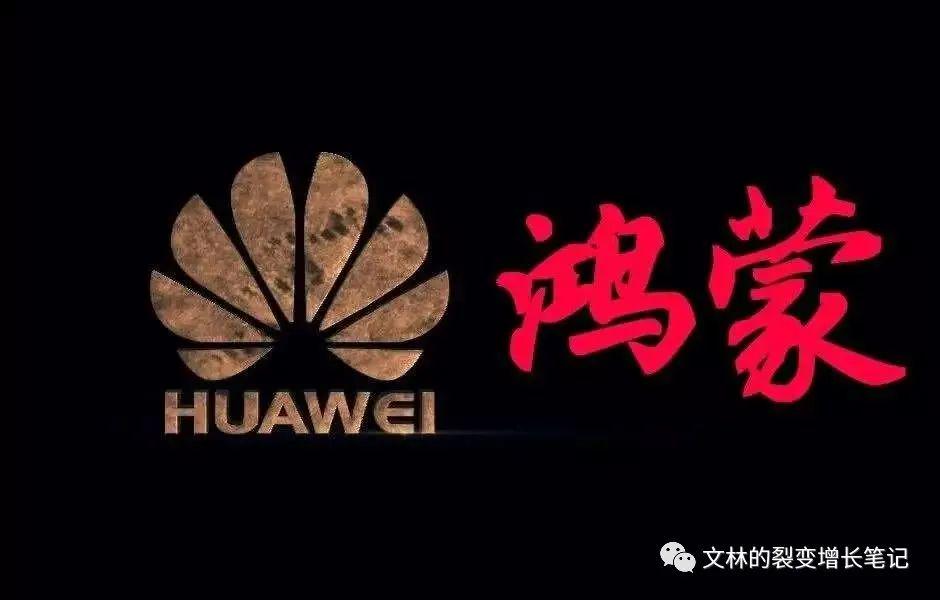 从打工人到通过视频号、抖音创业赚到第一桶金，我是如何摸索过来的？​