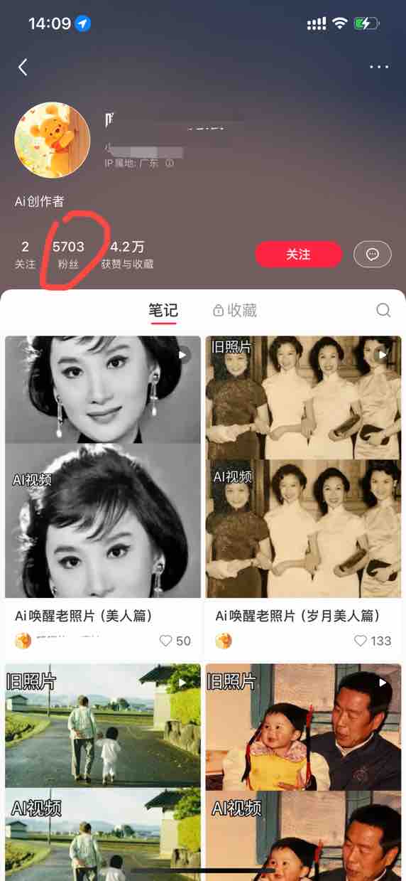 新手捡钱小项目：AI老照片视频，手机就能做！保姆级教程​